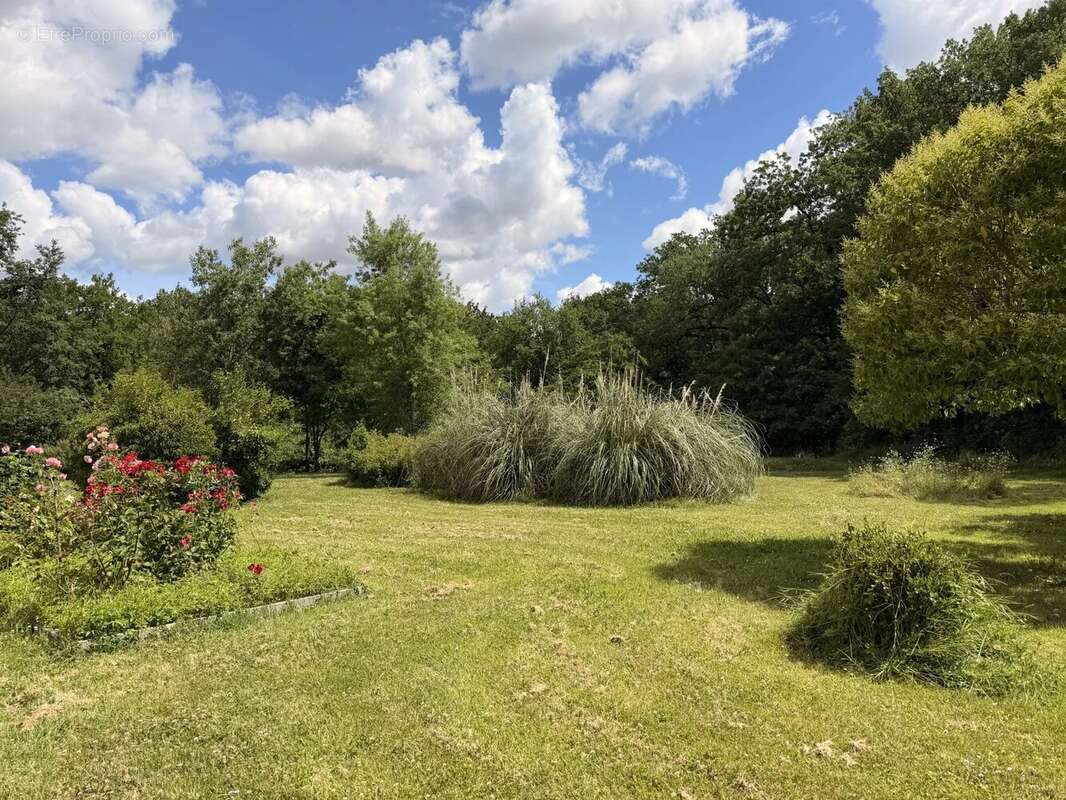 Ferme t4 de 162 m² avec piscine sur parc - photo 15