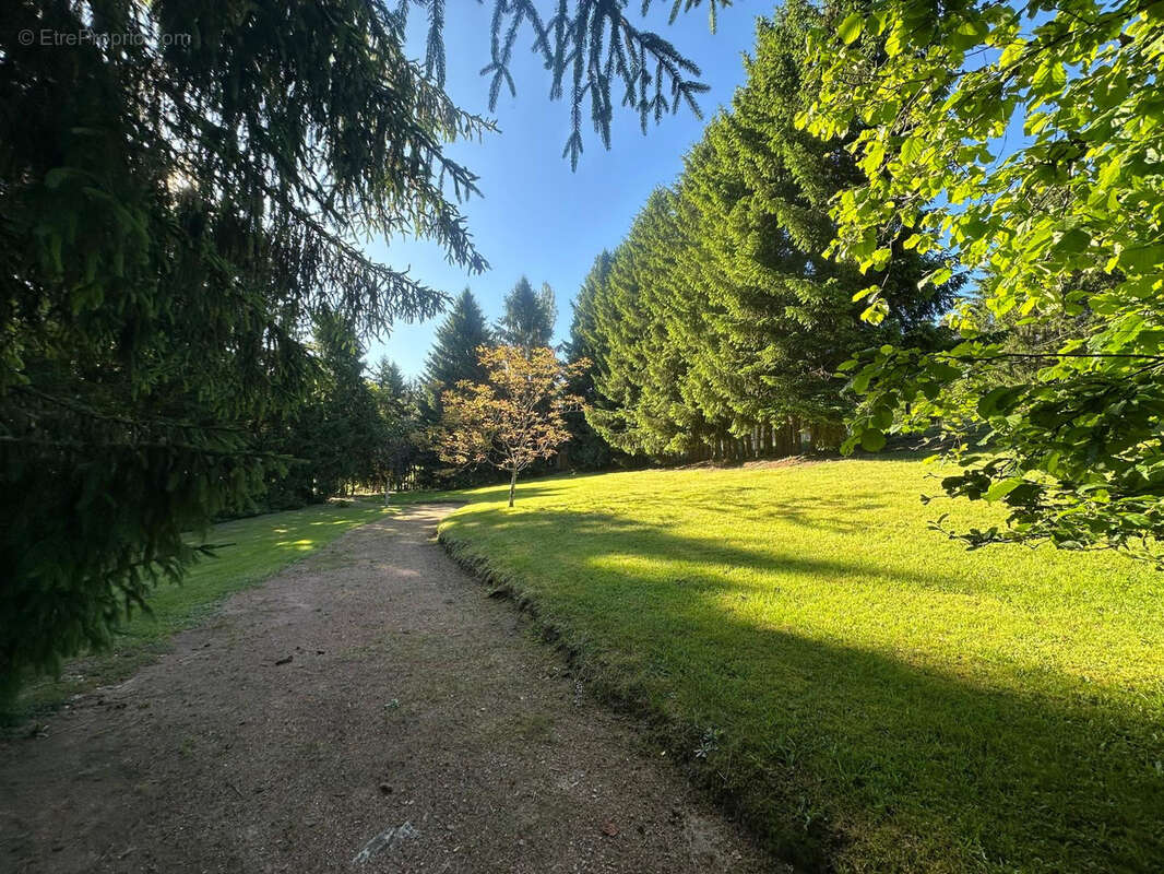 Maison à SAINT-BONNET-DES-QUARTS