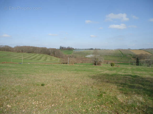 Grande parcelle à bâtir avec belles vues - photo 2