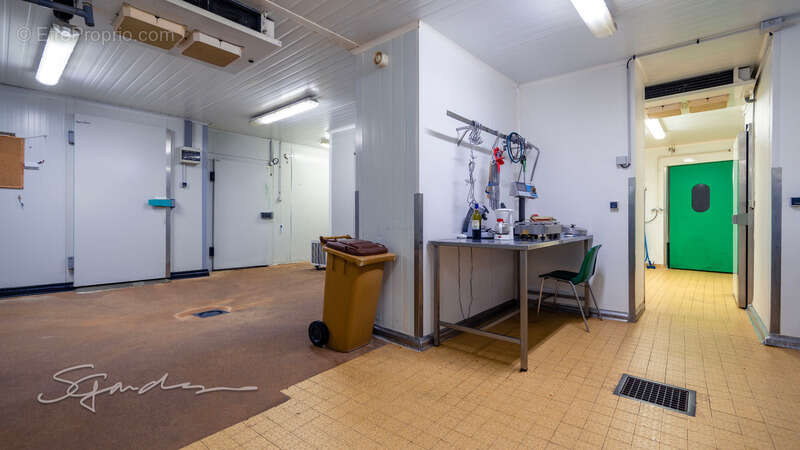 Commerce à NAVARRENX