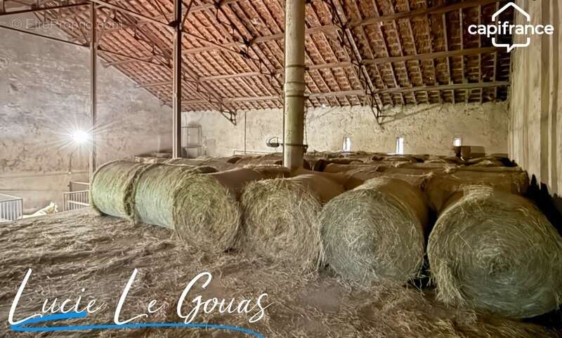 Ferme équestre - photo 31