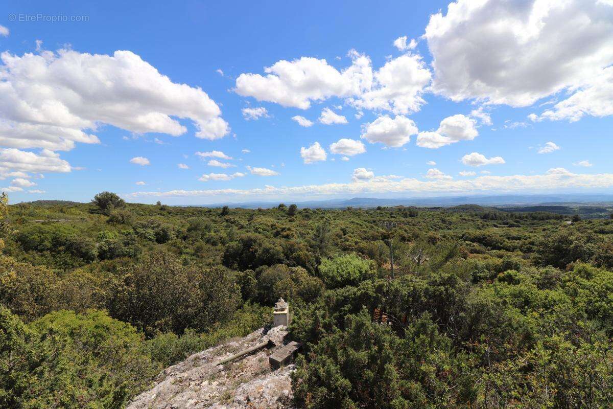 A vendre propriete de 8 hectares  au coeur du  minervois (34) - photo 13