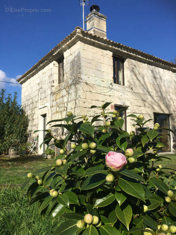 Maison à SAINT-FORT-SUR-GIRONDE