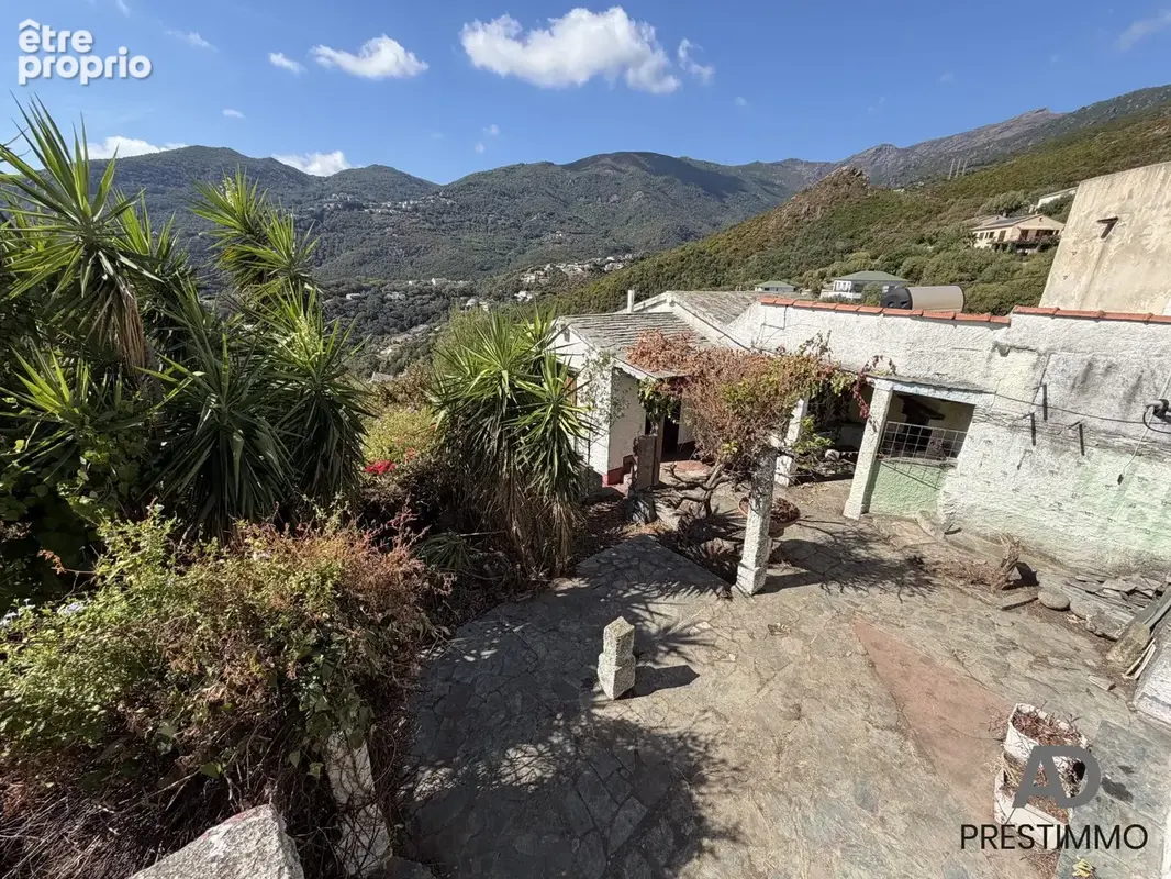Maison 121 m² à Santa-Maria-Di-Lota  - photo 2