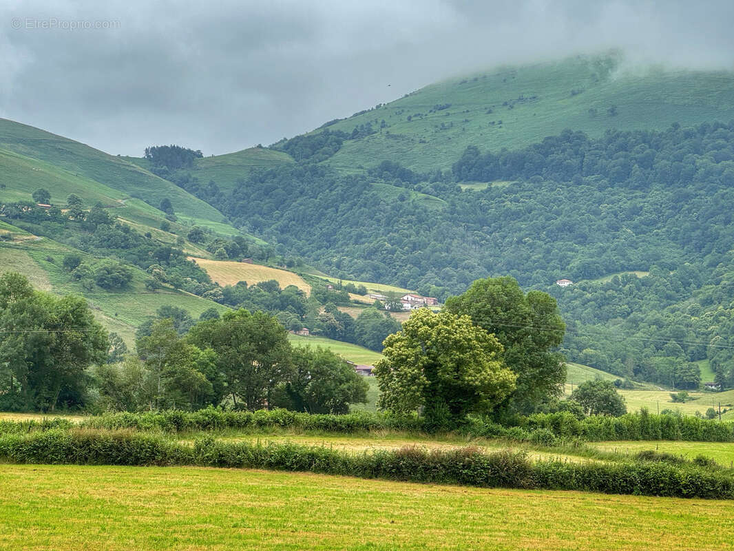 Maison à LARCEVEAU-ARROS-CIBITS