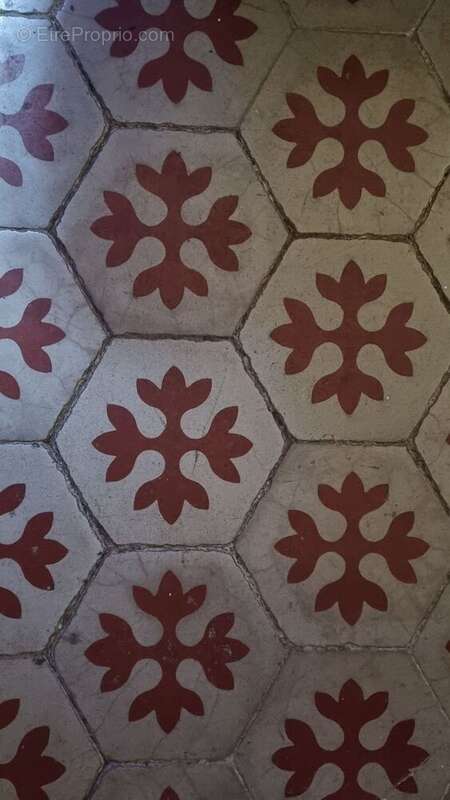 20260207113616 - Maison à MIREPOIX