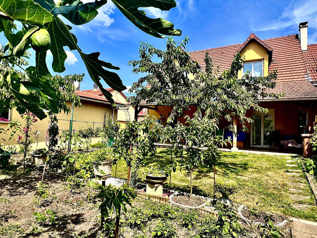 Maison à HOUILLES