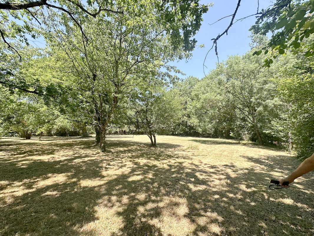 CASTELMAUROU, terrain viabilisé de 1 651 m2 - photo 3