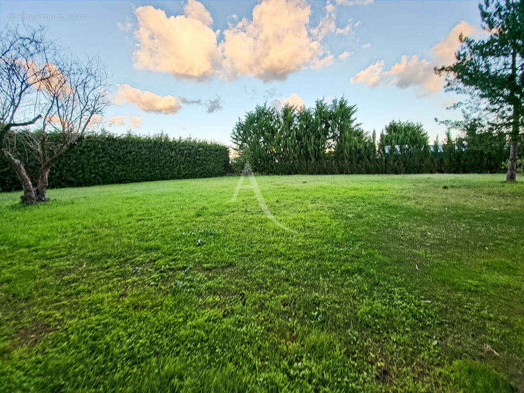 Terrain à LA BARRE-DE-MONTS