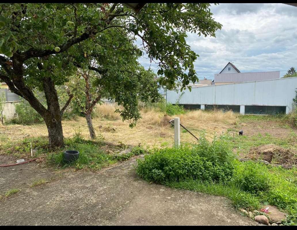 Maison à MOMMENHEIM