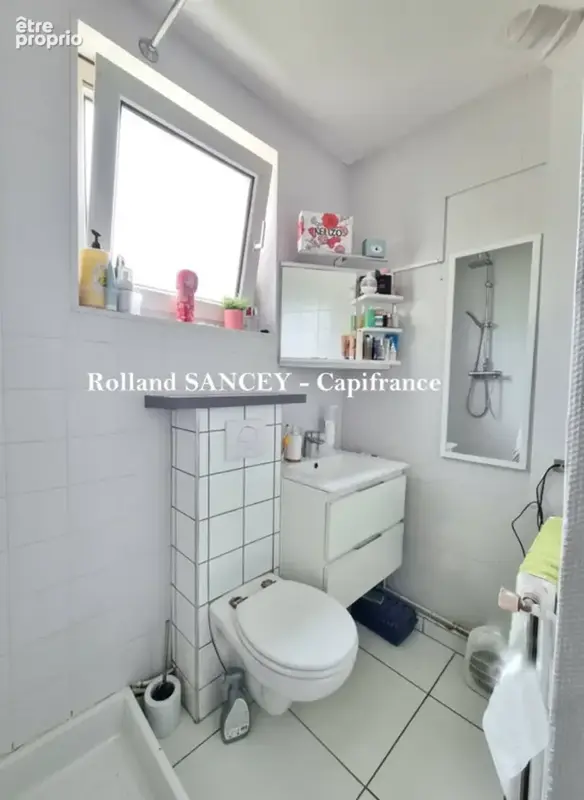 A vendre  ROYE (70) Maison avec habitation principale et logement locatif sur plus de 5800 m2 - photo 23