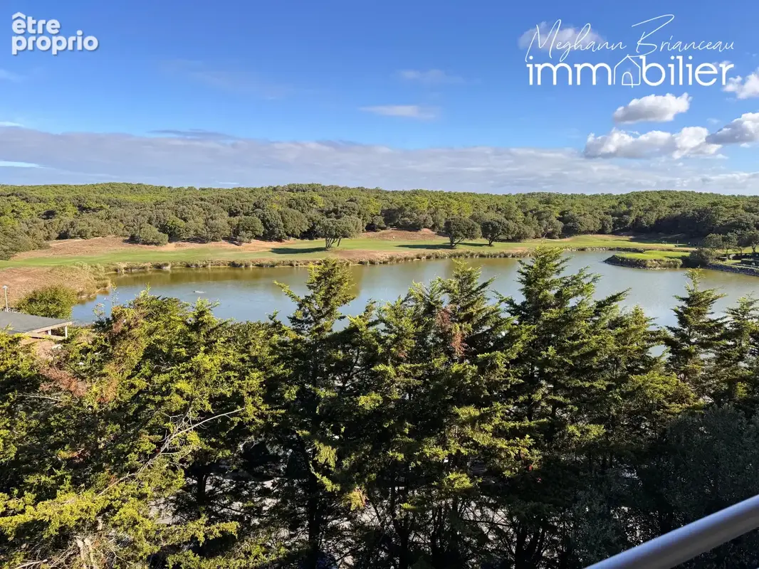 Golf - T2 + alcôve meublé en parfait état ! - photo 13