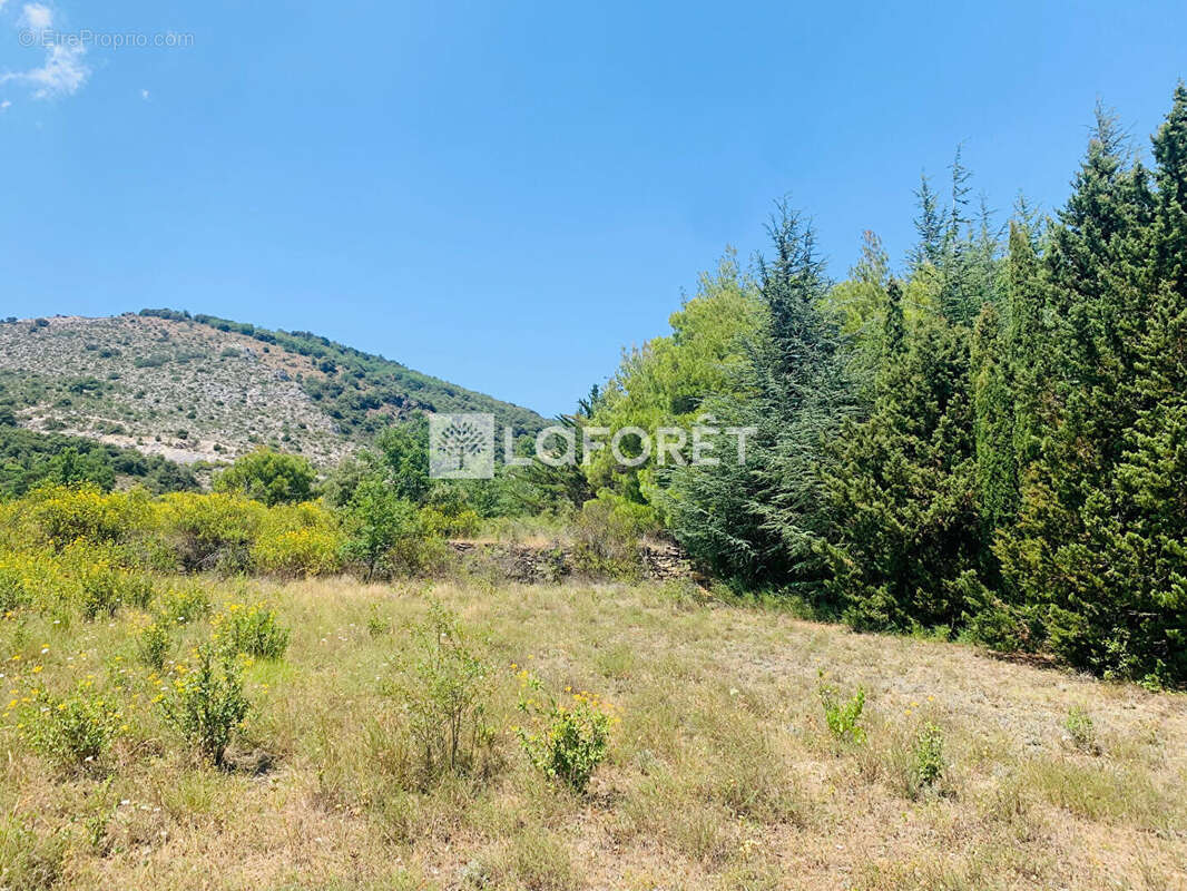 Terrain Sournia 4880 m2 - photo 4