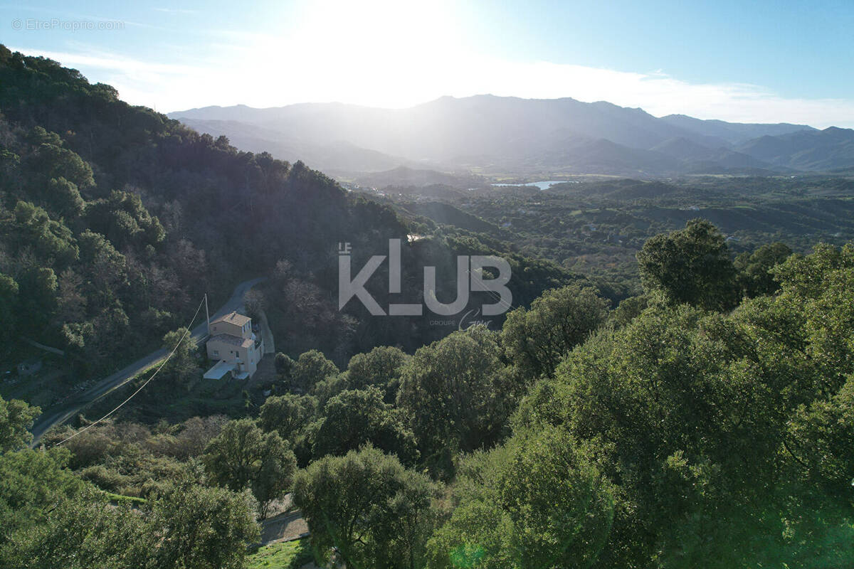 Terrain à POGGIO-D'OLETTA