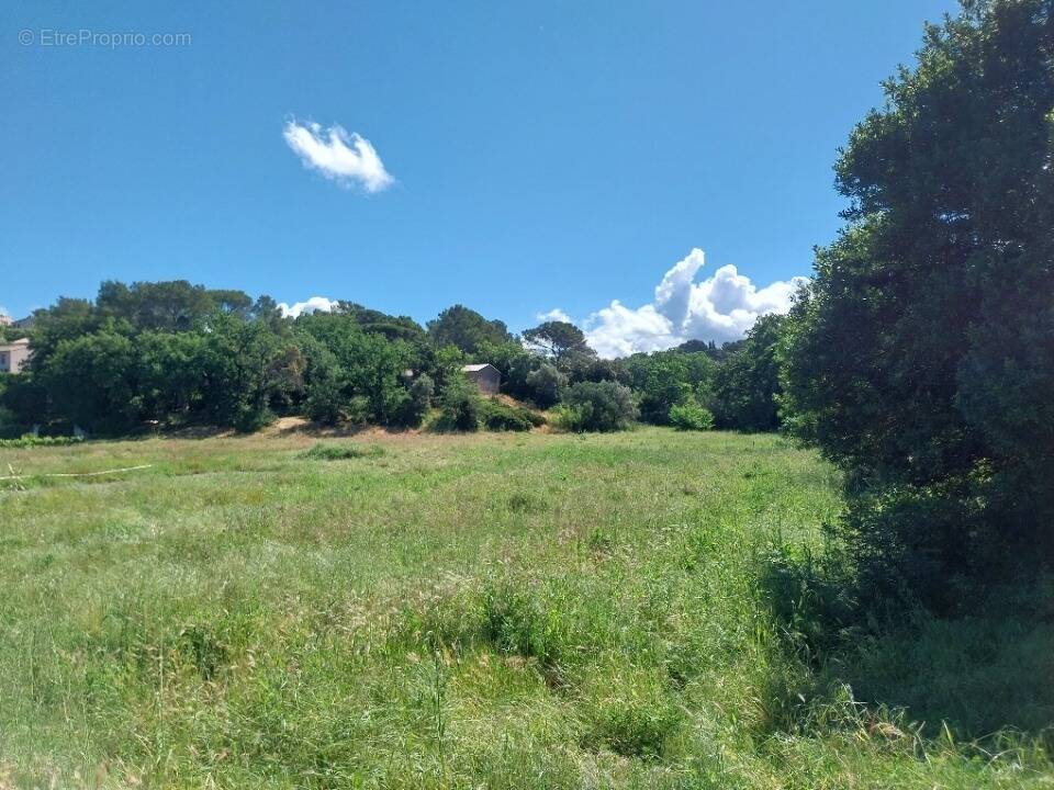Terrain à FREJUS