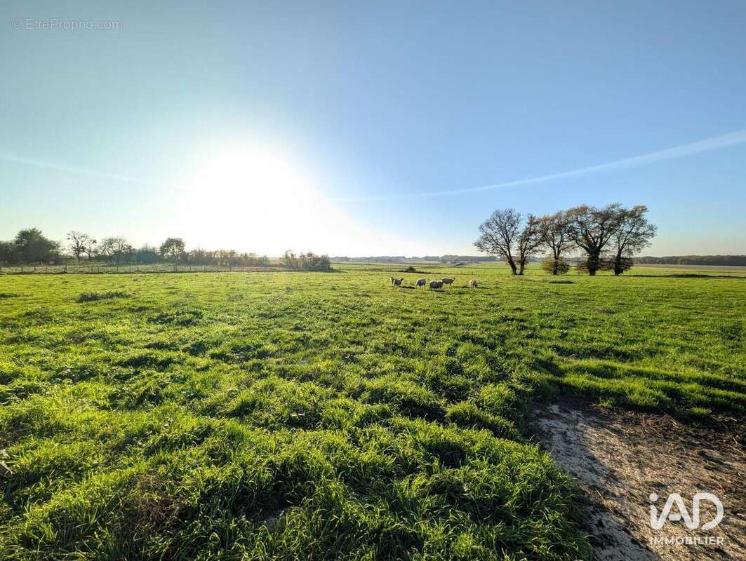 Photo 5 - Maison à LHOMMAIZE