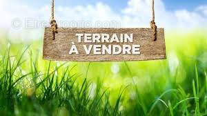 Terrain à CAYENNE