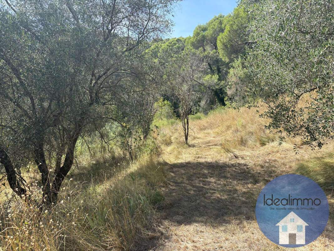 Terrain à BLAUSASC