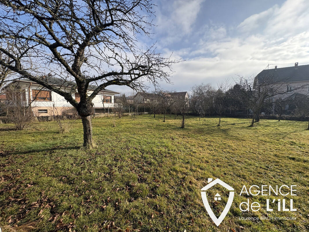 Terrain à CHATENOIS