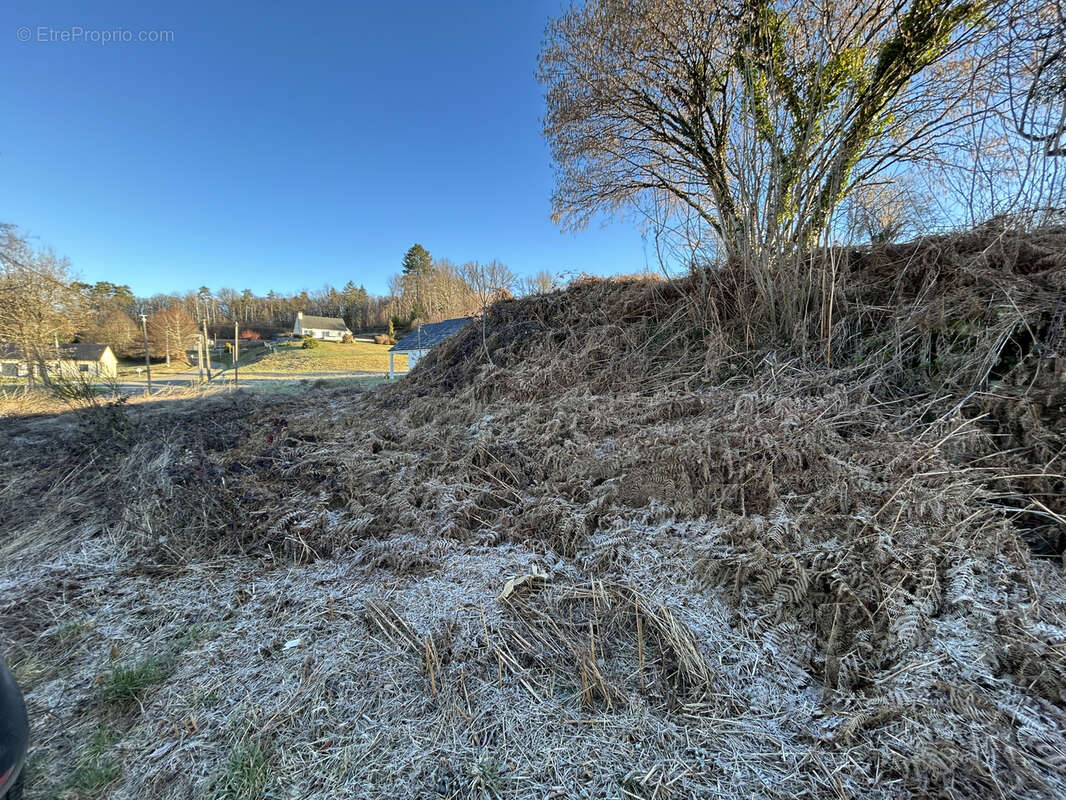 Terrain à SAINT-MEXANT