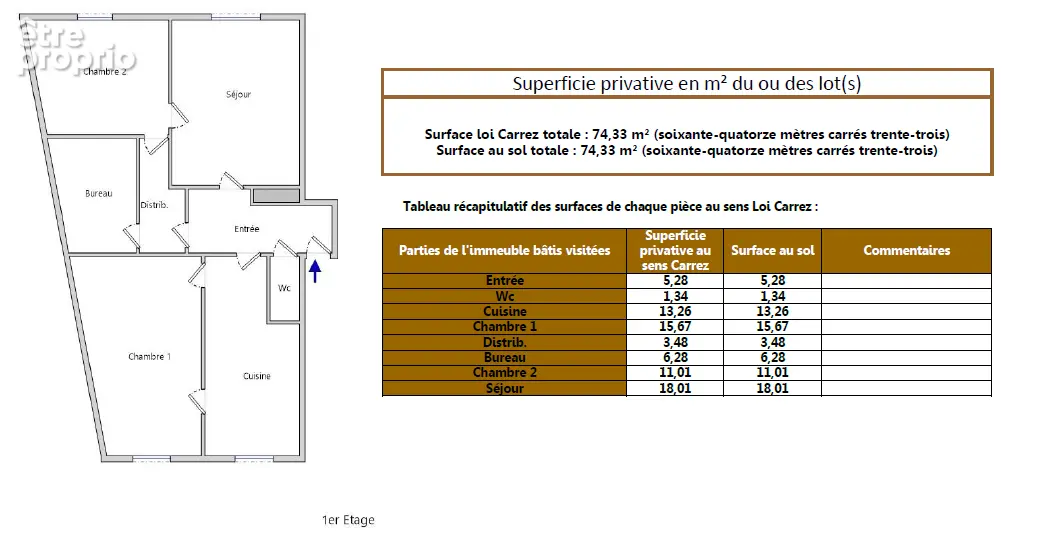 Exclusivité : 3 pièces de 75 m² à fort potentiel à Villeurbanne Hyper-centre - photo 11