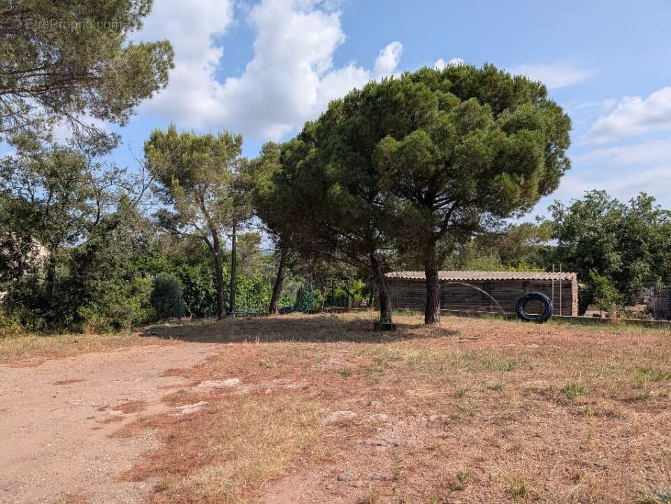 Terrain à FREJUS