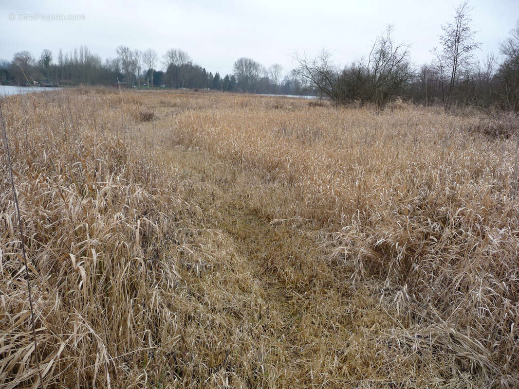 Terrain à CONDE-FOLIE