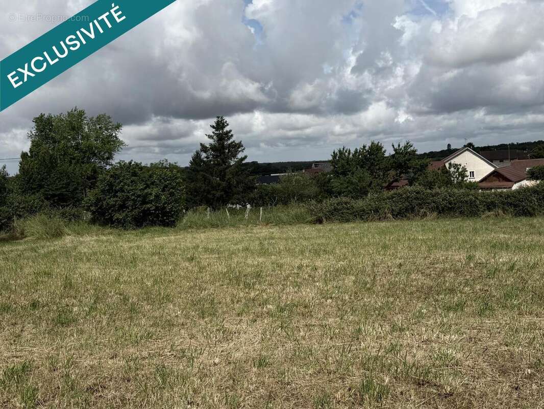 Terrain 810 m² à Bersaillin  - photo 5