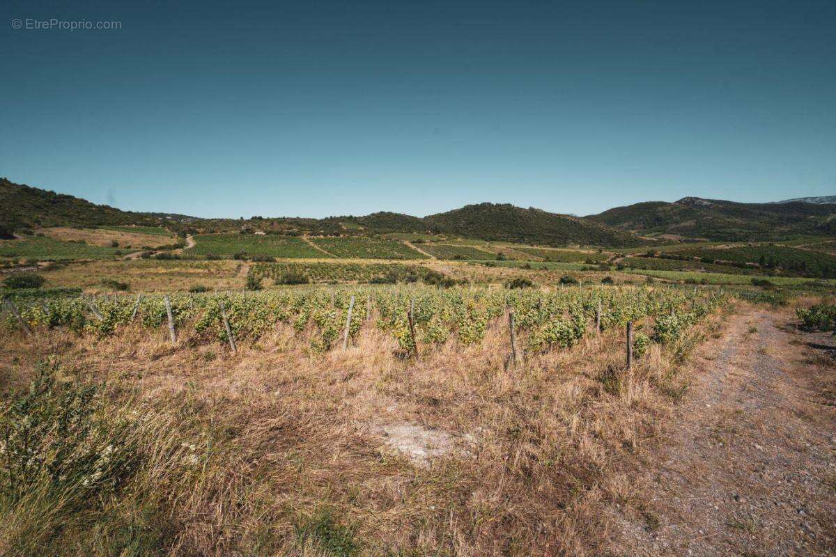 Terrain à CASCASTEL-DES-CORBIERES