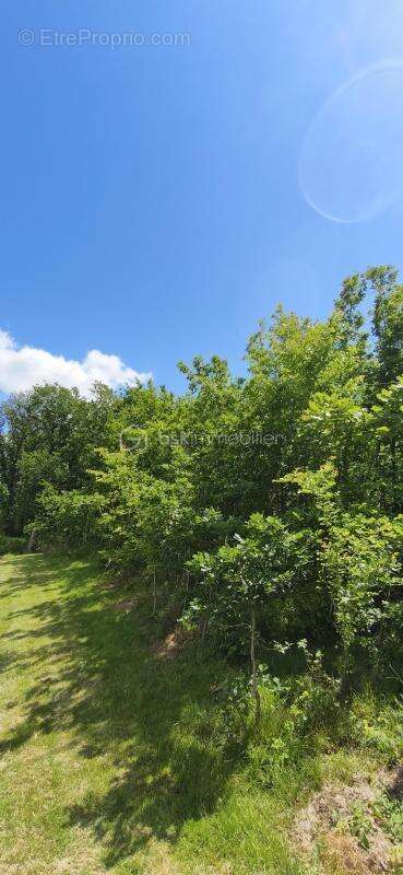 Vends terrain constructible de 1760 m2 - photo 2