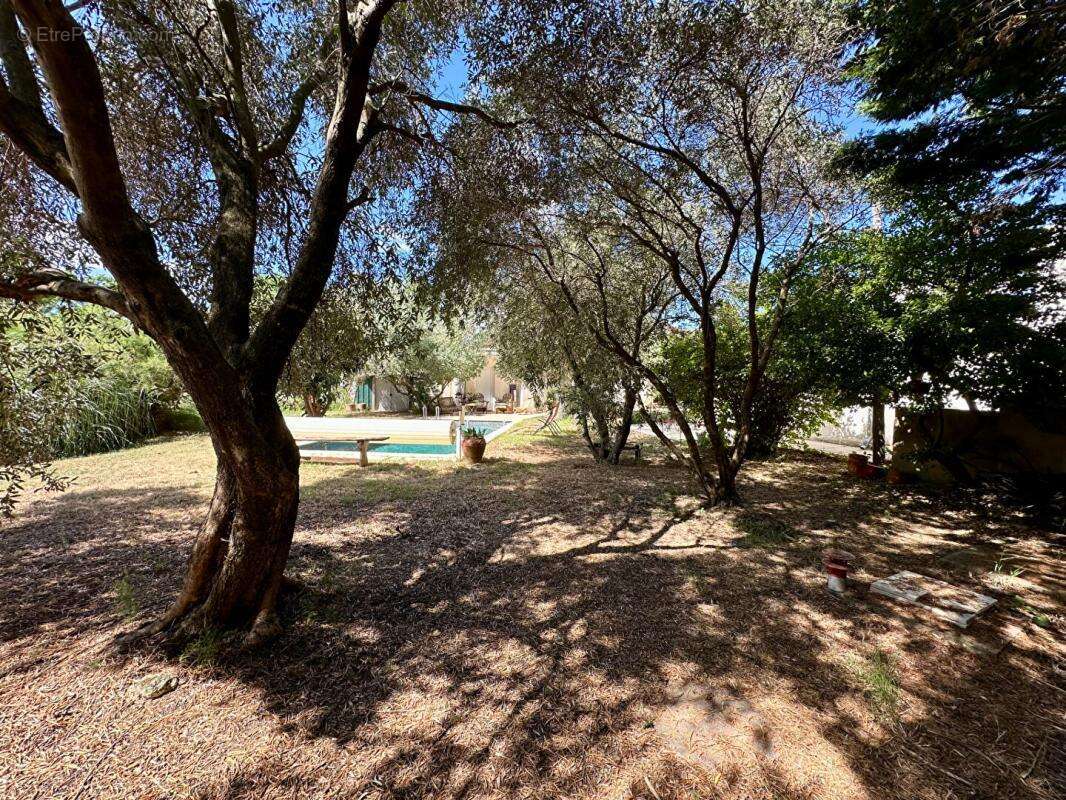 Maison à COURNONTERRAL