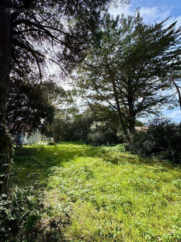 Terrain à vendre - photo 3