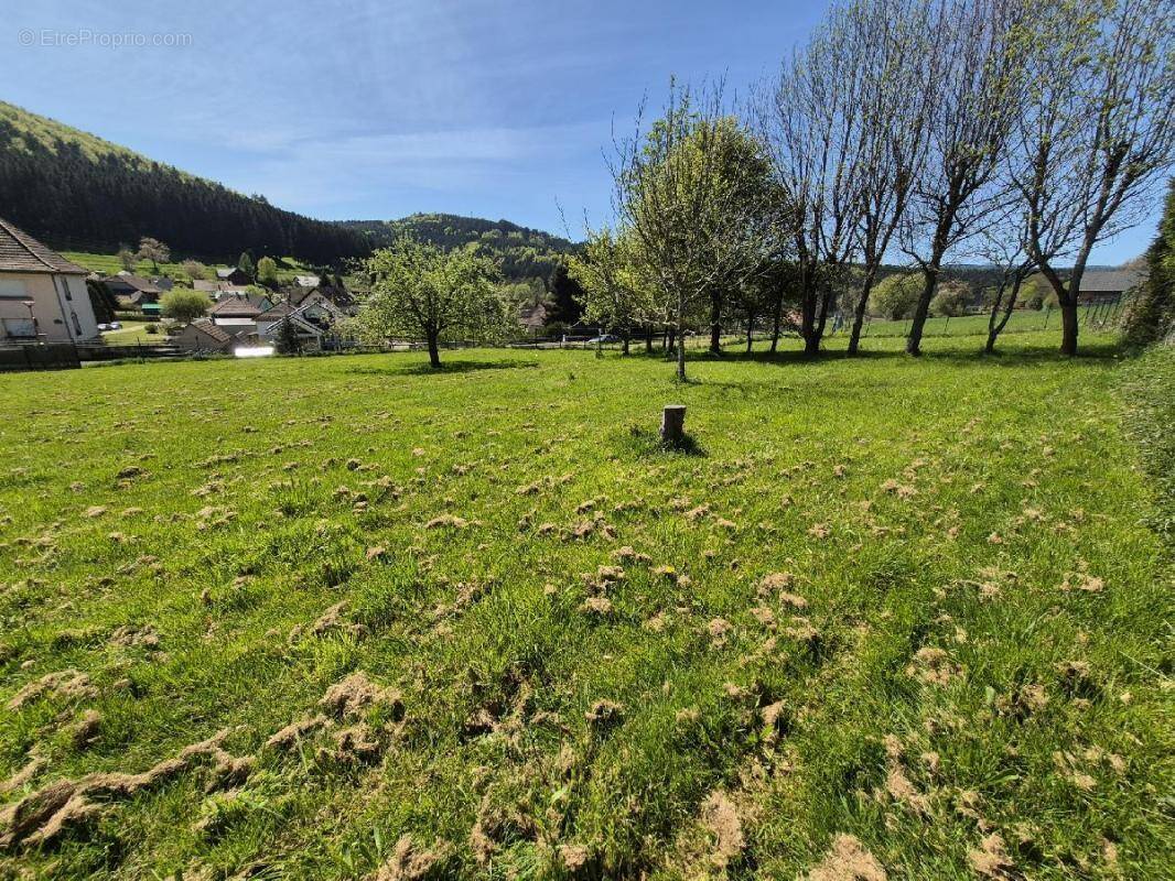 Terrain à COLROY-LA-ROCHE