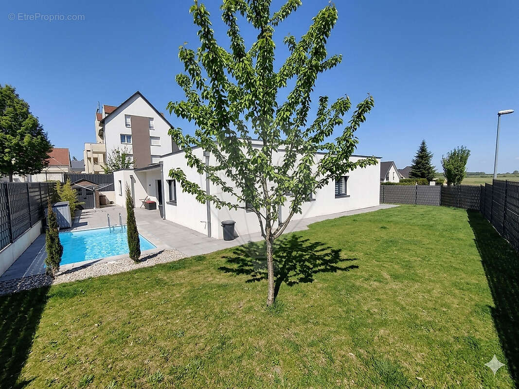 Maison à FERRETTE