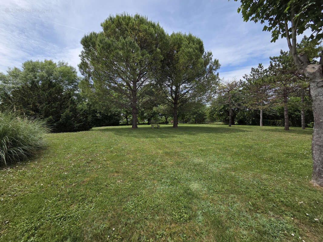 Charmante maison à Castillonnes - photo 23