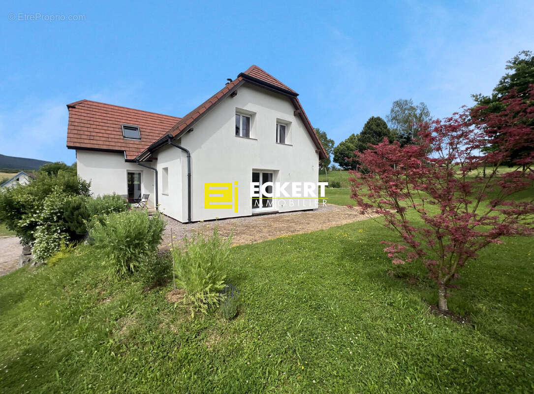 Maison 150 m² à Niederhaslach  - photo 3
