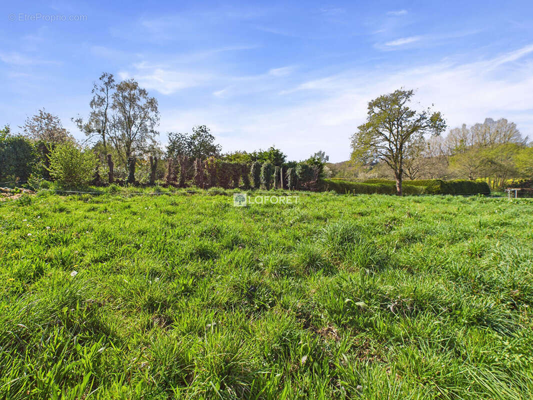 Terrain à SAINT-COULITZ