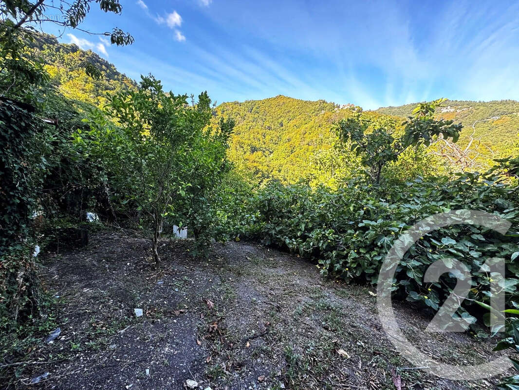 Maison à SAN-NICOLAO