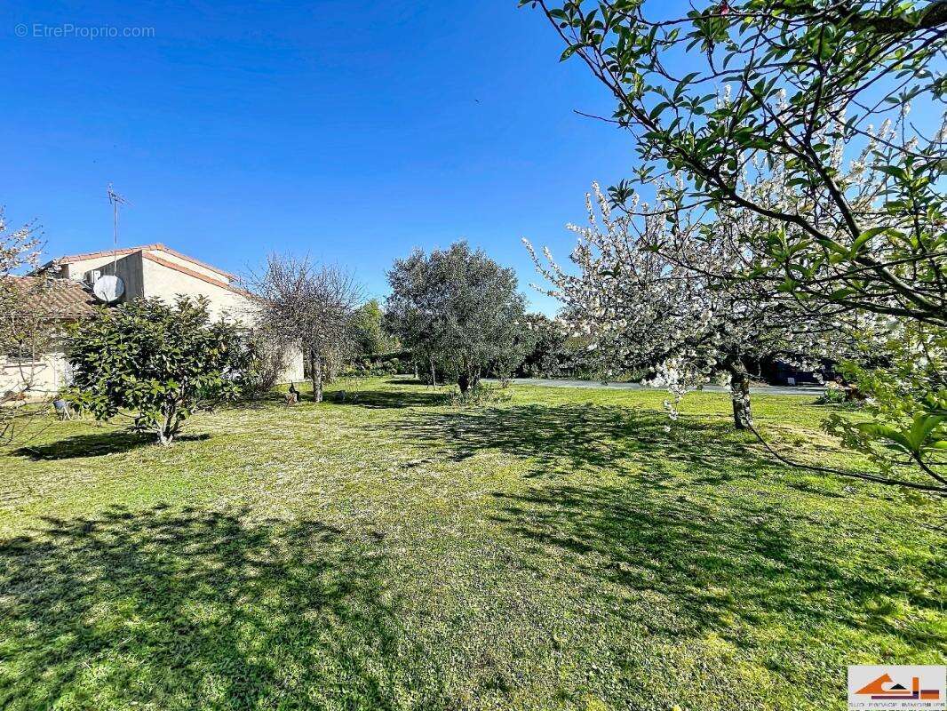 Maison à AUZEVILLE-TOLOSANE