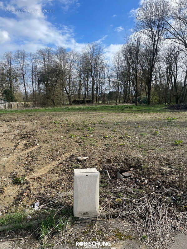 MANSPACH : Beau terrain plat - photo 3