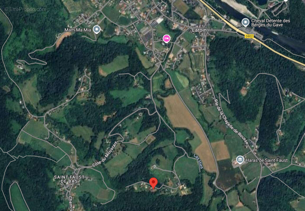 Terrain à SAINT-FAUST