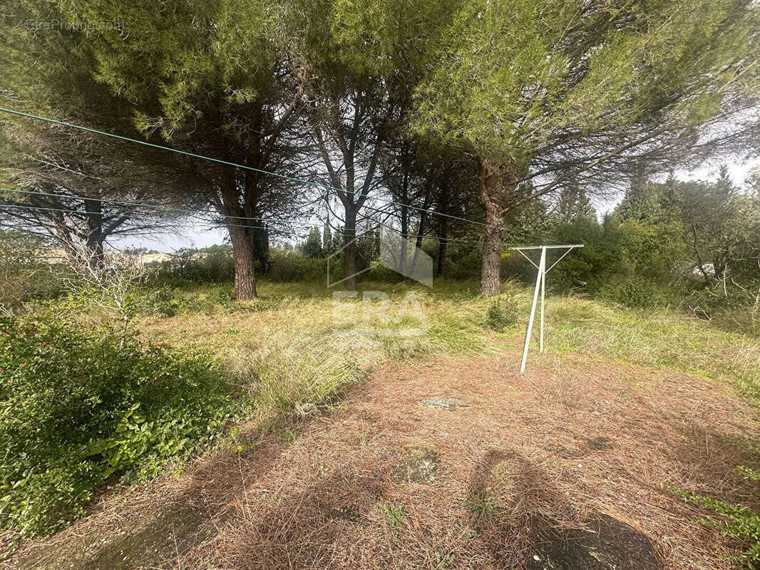 Maison à VILLEGAILHENC