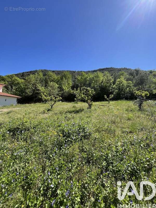 Photo 4 - Terrain à CERET