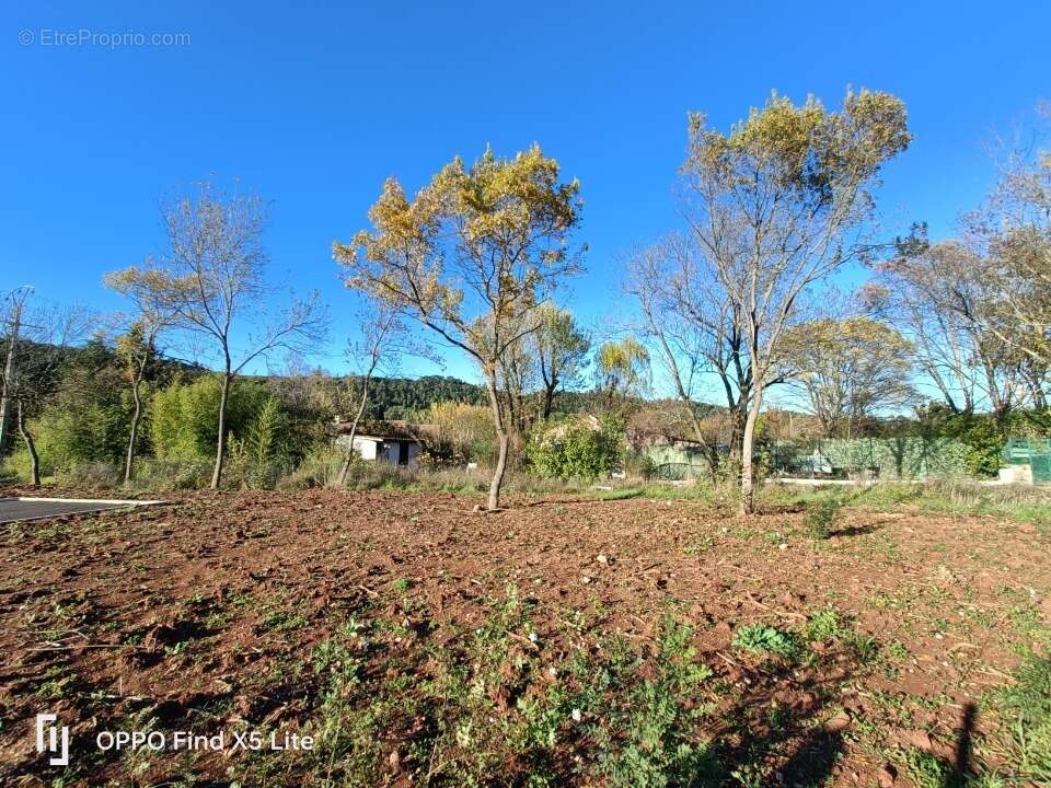 Terrain 393 m² à Le Luc  - photo 5