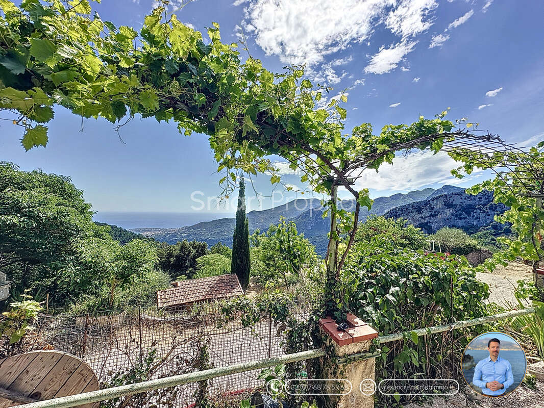 Domaine paradisiaque unique 5 hectars  au calme exceptionnel  - maison autonome 4p - vue dégagée mer - photo 19