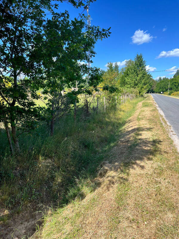 Terrain à VANNES-SUR-COSSON