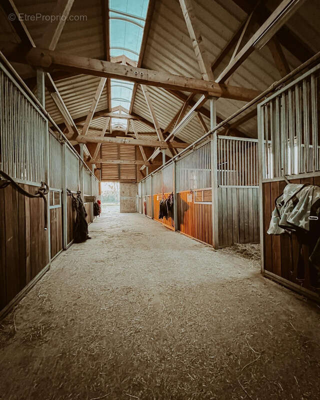 Propriété équestre - centre équestre - photo 6