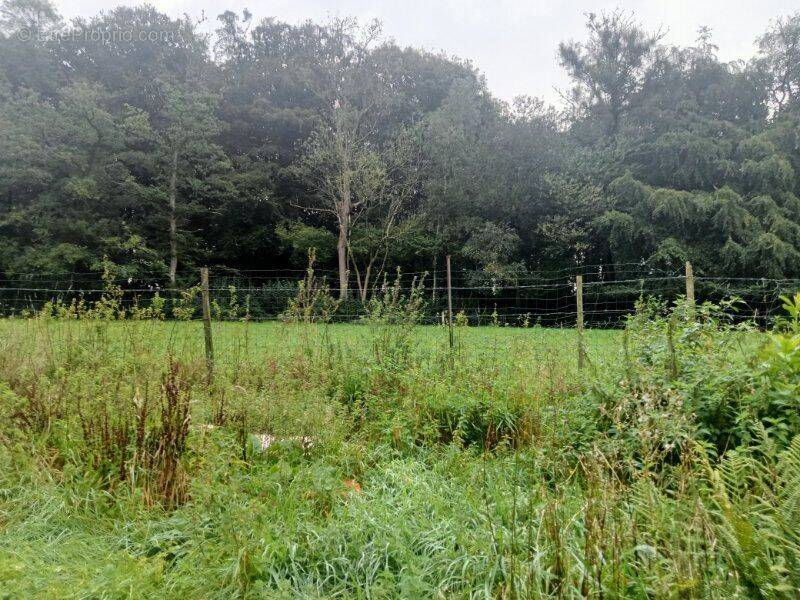 Photo 1 - Terrain à DENESTANVILLE