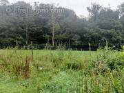 Photo 1 - Terrain à DENESTANVILLE