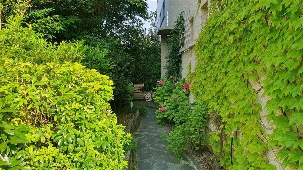 Maison à SURESNES